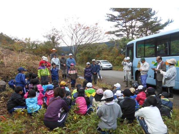 20131028_003 モミジ植樹作業（二ツ井小学校3年生40名）