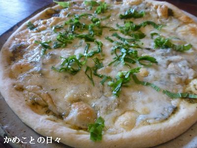 P1120746-pizza.jpg