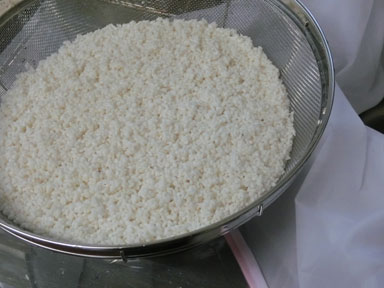 製麹-白米-3