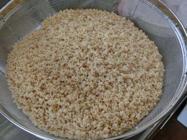 製麹-玄米-4