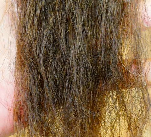 縮毛矯正の失敗 ビビリ毛って どｓ美容師のブログ
