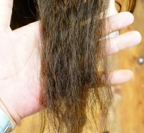 縮毛矯正の失敗 ビビリ毛って どｓ美容師のブログ