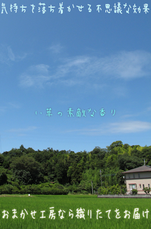 uwashiki_igusa.jpg